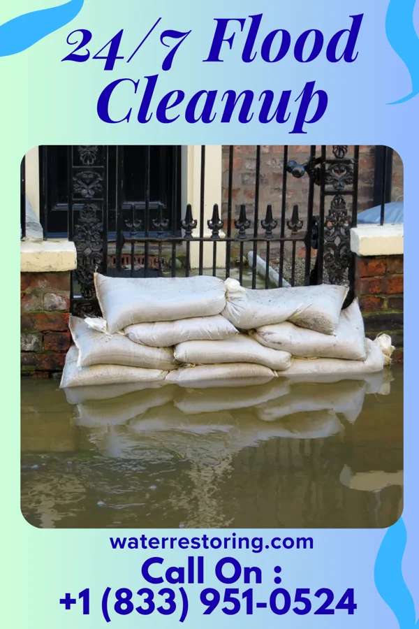 24/7 Flood Cleanup in Blakely, GA