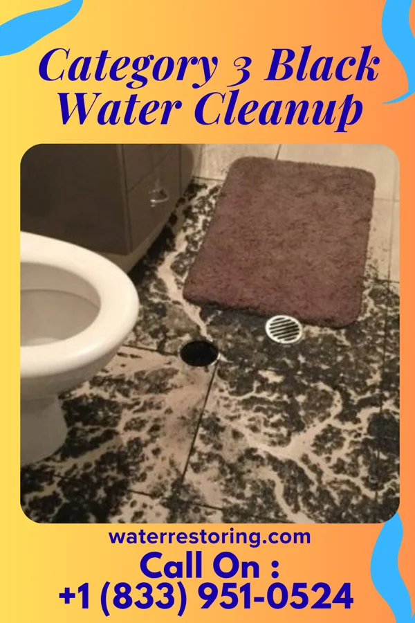 Category 3 Black Water Cleanup in Blakely, GA