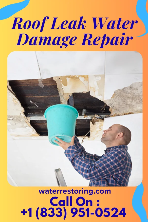 Roof Leak Water Damage Repair in Blakely, GA