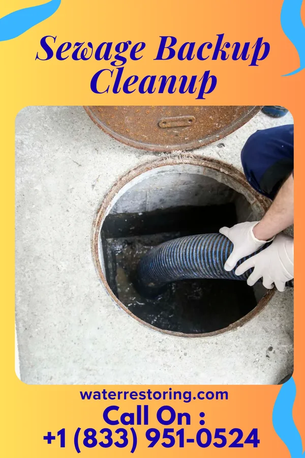 Sewage Backup Cleanup in Blakely, GA