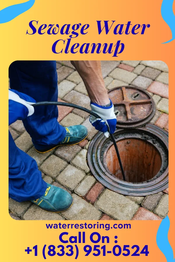 Sewage Water Cleanup in Blakely, GA